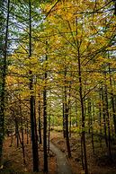 Pearl Continental Bhurban