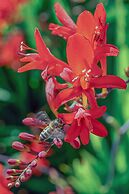 The Ardagh Hotel & Restaurant