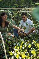 Mision del Sol Resort and Spa - Adults only