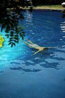 Mision del Sol Resort and Spa - Adults only