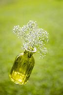 Centara Villas Phuket