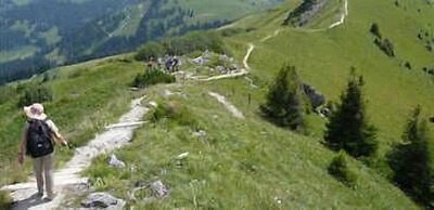Boutique Hotel Alpenrose