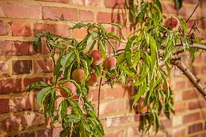 Mallory Court Country House Hotel and Spa