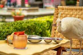Las Mananitas Hotel Garden Restaurant and Spa