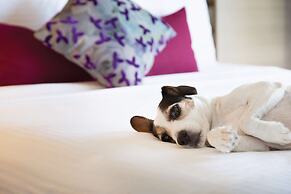 Coast Edmonton Plaza Hotel by APA