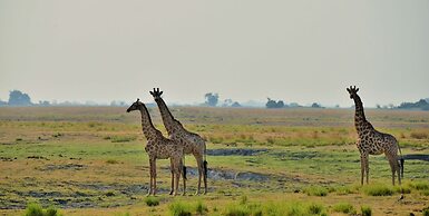 Cresta Mowana Safari Resort & Spa