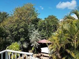 Authors of Key West Guest House