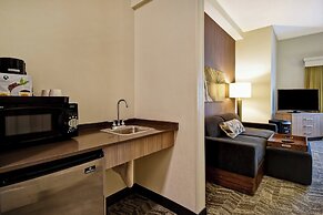 SpringHill Suites by Marriott Atlanta Kennesaw