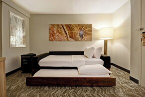 SpringHill Suites by Marriott Atlanta Kennesaw