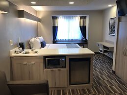 Microtel Inn & Suites by Wyndham Atlanta/Buckhead Area