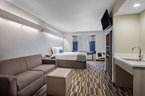 Microtel Inn & Suites by Wyndham Atlanta/Buckhead Area