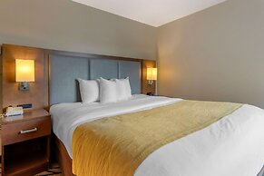 Comfort Inn & Suites Market - Airport