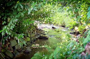 Romantik Waldhotel Mangold