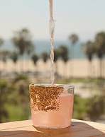 Hotel Erwin Venice Beach