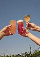 Hotel Erwin Venice Beach