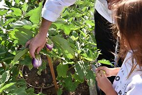 Rosewood Little Dix Bay