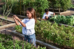 Rosewood Little Dix Bay