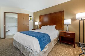 Comfort Inn Anderson South