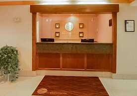 Comfort Inn Anderson South