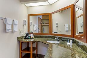 Comfort Inn Anderson South