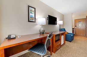 Comfort Inn Anderson South