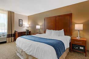 Comfort Inn Anderson South