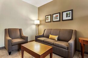 Comfort Inn & Suites Streetsboro - Kent