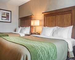 Comfort Inn Port Hope