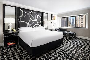 The Muse New York