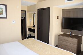 Comfort Suites DFW Airport