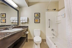 Comfort Inn Airport Turfway Road