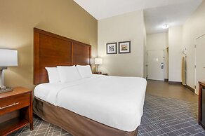 Comfort Inn Airport Turfway Road