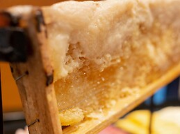 Pullman Sao Paulo Ibirapuera