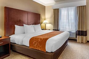 Comfort Suites Linn County