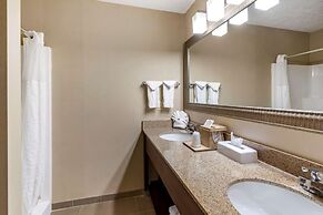 Comfort Suites Linn County