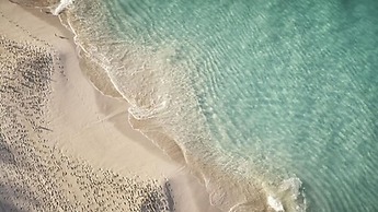 The Ocean Club, A Four Seasons Resort, Bahamas