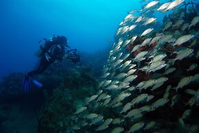 The Ocean Club, A Four Seasons Resort, Bahamas
