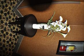 Comfort Inn & Suites Lincoln City