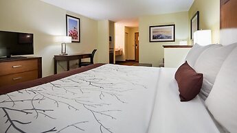 White Pines Inn & Suites