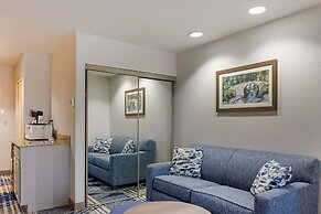 Comfort Inn & Suites Hot Springs Midtown