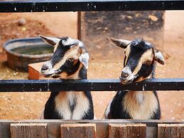 Sorrel River Ranch Resort