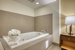 Holiday Inn Hotel & Suites Madison West - Middleton by IHG