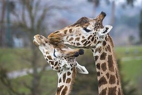 Holiday Inn Express East Midlands Airport by IHG