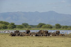 Lake Manyara Serena Safari