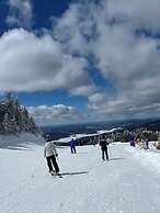 Le Westin Tremblant