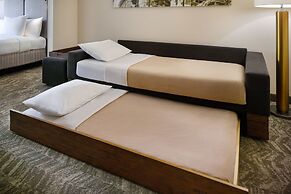 SpringHill Suites by Marriott Charlotte Univ. Research Park