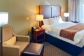 Comfort Inn & Suites Midtown