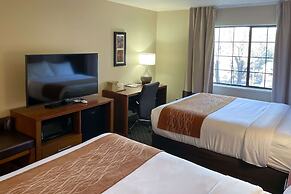 Comfort Inn & Suites Midtown
