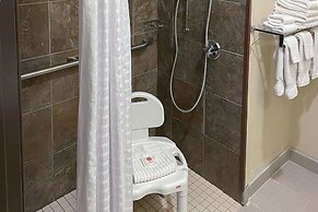 Comfort Inn & Suites Midtown