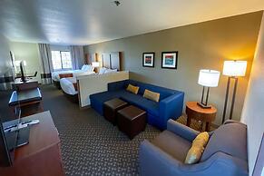 Comfort Inn & Suites Midtown